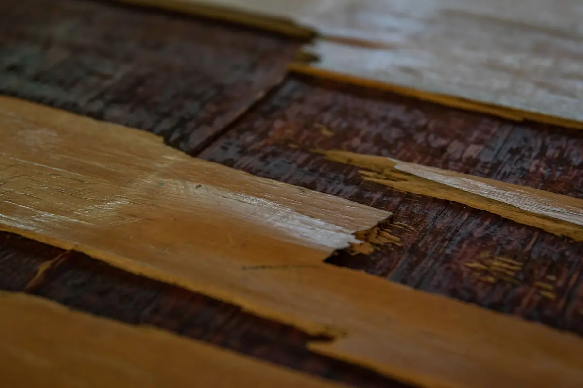 Parquet gondolé : causes, solutions et prévention