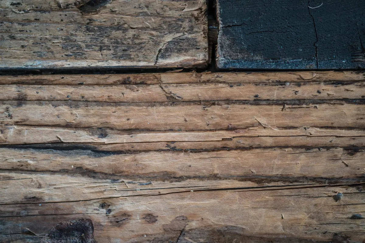 Parquet qui grince : causes et solutions