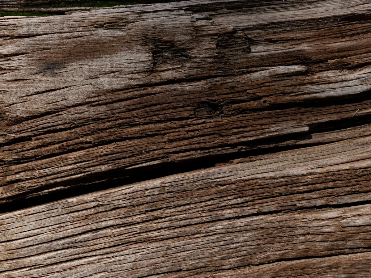 Traiter un parquet contre les vrillettes